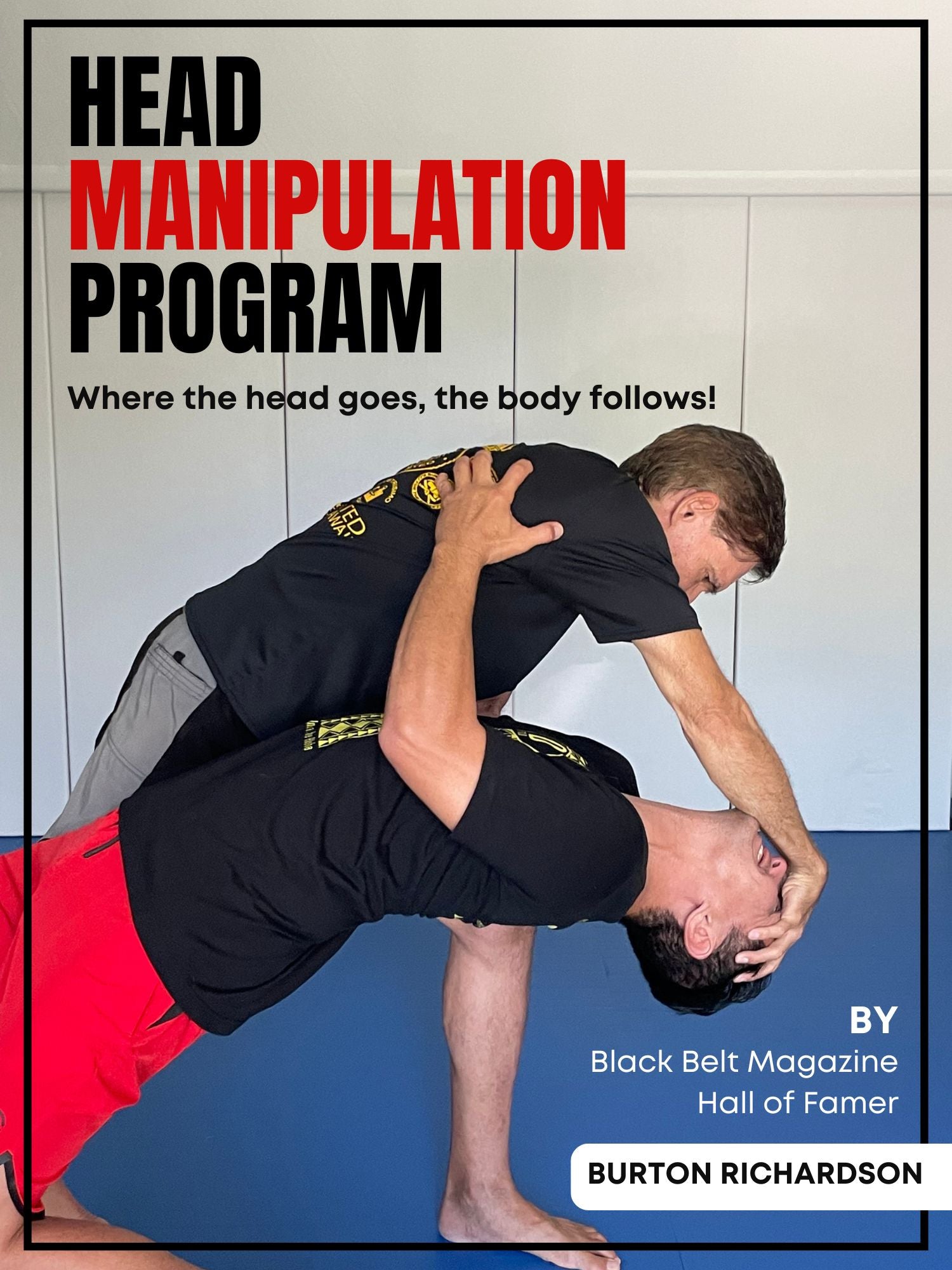 Head Manipulation Program